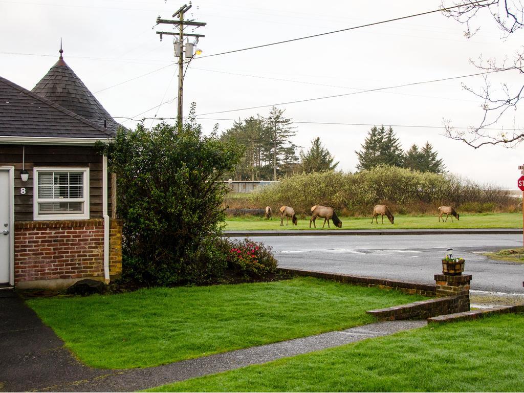 Ecola Creek Lodge Cannon Beach Exterior foto